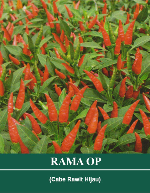 rama.jpg